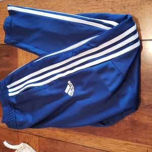 Adidas boys tiro 19 training pants